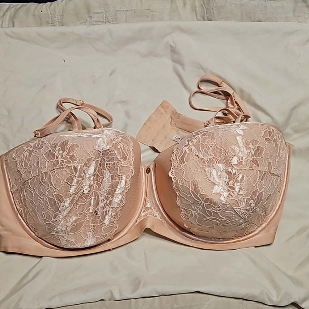 Lane Bryant strapless bra 44 h